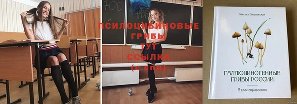 стафф Пестово